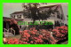 CAPE COD, MA - CHATHAM, ROSES ON CAPE COD - TRAVEL IN 1954 - - Cape Cod