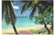 Barbados - Paradise -  Nice Stamp - Barbados