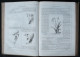 Delcampe - 4 Reliures  Du Journal «Le Jeune Age Illustré »/ 4 Tomes Dont  Les 2 Premiers / DÉDICACE De La Directrice Lérida-Geofroy - Revues Anciennes - Avant 1900