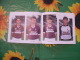 ALBO SQUADRA CALCIO  F.C.METZ  DU F.C.METZ STAGIONE 1986-87. - Sport