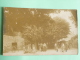 HEREPIAN - 1907 - Rare Carte Photo De Scène De Marché - Sonstige & Ohne Zuordnung