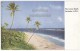 BARBADOS BWI ~ CRANE BEACH ~ C1960s Unused Vintage Postcard ~BRITISH WEST INDIES -CARRIBEAN  [4307] - Barbados