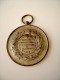 1892   BELGIO   EXPOSITION INTENATIONAL  D' AVICOLTURE  VILLE  DE TOURNAI MEDAGLIA BIG MEDAL - Unternehmen