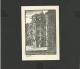 Carte Journée Du Timbre Soudan 1945 Bamako - Storia Postale