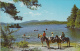 Adirondacks New York - Word Of Life - Nature Horses Canoe - Stamp & Postmark 1964 - 2 Scans - Adirondack