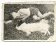 REAL PHOTO, Boy In Shorts Lying In The Grass With The Dog, Garçon En Short Couché Dans L´herbe Avec Le Chien, Photo - Groupes D'enfants & Familles