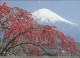 JAPON. Magnifique Calendrier  Japonais Mont Fuji 2014.  Trois Photos - Autres & Non Classés