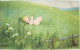 Cpa Litho Illustrateur Elly FRANK Bébé Enfant Donne Graine A Poule Poussin Putt Putt  +- 1907 - Frank, Elly