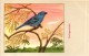 60 Cards SLUIS Advertising Bird Sead, Vogelzaad Grains Pour Oiseaux - Coloured Postcards - Autres & Non Classés