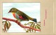 Delcampe - 60 Cards SLUIS Advertising Bird Sead, Vogelzaad Grains Pour Oiseaux - Coloured Postcards - Other & Unclassified