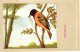 Delcampe - 60 Cards SLUIS Advertising Bird Sead, Vogelzaad Grains Pour Oiseaux - Coloured Postcards - Other & Unclassified