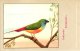 Delcampe - 60 Cards SLUIS Advertising Bird Sead, Vogelzaad Grains Pour Oiseaux - Coloured Postcards - Other & Unclassified