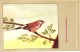 Delcampe - 60 Cards SLUIS Advertising Bird Sead, Vogelzaad Grains Pour Oiseaux - Coloured Postcards - Autres & Non Classés