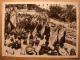 LOT 3 PHOTOS 13X18  ALGERIE - MANIFESTATION COLONIE BELGE MONUMENT AUX MORTS 2 JUIN 1940 ALGER - OFALAC TIRAGES D'EPOQUE - Other & Unclassified