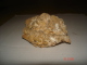 Marcassite - Minerals