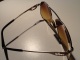 VINTAGE : ANCIENNE PAIRE DE LUNETTES DE SOLEIL  - LACOSTE - - Gafas/Lentes De Sol