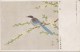 ZS50062 Bird Oisseaux North Koreea 2  Scans - Korea (Nord)