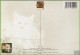 Voyo POLAND CAT With ROSE - Rachael Hale 2004 MINT R-006 - Chats