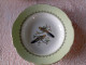 1 ASSIETTE CREUSE SOUPE ANCIENNE Signé K & G LUNEVILLE BADONVILLER DECOR OISEAU PERRUCHE Bord Vert - Lunéville (FRA)