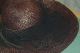 CHAPEAU  MODE PAILLE Naturelle DENTELLE Noire Et PLUMES - Headdresses, Hats, Caps