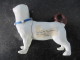 37 / Carlin Chien Dog Franc Maçon Porcelaine Porzellen Porcelain Desde ? XVIIIe ? Franc-maçonnerie Masonic Meissen - Dresdner Porzellan (DEU)