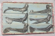 6 X OISEAUX PORTE COUTEAU ANCIEN 9 Cms  RARE Et SPLENDIDE - Argenteria