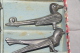 6 X OISEAUX PORTE COUTEAU ANCIEN 9 Cms  RARE Et SPLENDIDE - Argenteria