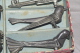 6 X OISEAUX PORTE COUTEAU ANCIEN 9 Cms  RARE Et SPLENDIDE - Argenteria