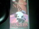 Lot De 10 Cassette VHS Manga : "Neon Genesis Evangelion"en Parfait état - Mangas & Anime