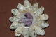 BROCHE FLEUR  ETOILE De MER En COQUILLAGE - Brochen