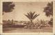 ITALY 1931 - POSTCARD - LAZIO  – ROMA – PINCIO – PALME SEPIA  NOT SHINING - MAILED TO FRANCE –NO STAMP POSTM ROMA AQGO 2 - Parken & Tuinen