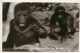 Cameroun - Ref 284- Compagnie Zoologique De Yaoundé - Zoo -singe -theme Singes -gorille -carte Bon Etat - - Cameroun