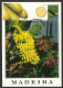 Portugal Fruits De Madère Bananes Carte Maximum Avec Bloc 2009 Madeira Fruit Bananas Maxicard - Maximumkarten (MC)