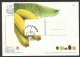 Portugal Fruits De Madère Bananes Carte Maximum Avec Bloc 2009 Madeira Fruit Bananas Maxicard - Maximum Cards & Covers