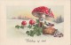 CPA MUSHROOMS, CLOVER, COINS, HORSESHOE, LITLLE BIRD - Sonstige & Ohne Zuordnung