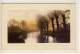 Flussau In Der Abendsonne - Künstler AK    1910 - Arbres