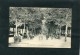 NANCY UNE ALLEE DE LA PEPINIERE CIRC  OUI   / 1910  EDIT - Nancy