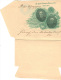 ARGENTINE Entier Memorandum Postal 1900 Al Gran Pueblo Brasileno SALUD - Illustré - Brieven En Documenten