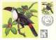 BRESIL CARTE MAXIMUM NUM.YVERT 1601 FAUNE OISEAU TOUCAN - Maximum Cards