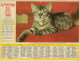 Calendrier De La Poste (chat, Chien) - Big : 1971-80