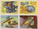 COLLECTION BISCOTTES CLEMENT LOT 19 IMAGES FORMAT CARTE POSTALES POISSON SPORT OISEAUX COSTUMES BE - Autres & Non Classés