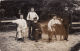 CP Photo 1911 GIEKERK (Gytsjerk, Tytsjerksteradiel) - Chasseurs à Pied (A43, Ww1, Wk1) - Autres & Non Classés