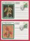 SOUTH AFRICA 1977, Set Of 10 Postcards With Various Erica Flowers Pictures - South Africa