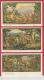 SOUTH AFRICA  , 15 Postcards Embroyderies In Voortrekker Monument - Zuid-Afrika