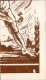 1933 No. 217-218 Overprinted.philatelistic Exibition,on Piece,as Scan - Otros & Sin Clasificación