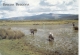 BT18447 Brecon Beacons From Mynydd Lilltud    2 Scans - Breconshire