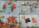 CHINA - KINA -  GOLD  FISH  On  POSTCARDS - Complet Set 12 V -  ORGINAL  CARD - Cto  MC - 1960 - PERFECT - RARE - Nuovi