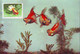Delcampe - CHINA - KINA -  GOLD  FISH  On  POSTCARDS - Complet Set 12 V -  ORGINAL  CARD - Cto  MC - 1960 - PERFECT - RARE - Nuovi