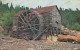 DEEP BIGHT-TRINITY BAY Canada  Newfoundland Water Wheel , Old  Photo Postcard - St. John's