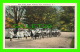 PROVIDENCE, RI - PONY CARTS, ROGER WILLIAMS PARK - ANIMATED  WITH CHILDRENS -  PUB. BY BERGER BROS - - Providence